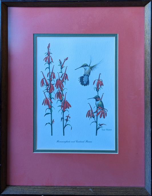 Signed Print "Hummingbirds and Cardinal Flowers" by Ray Harm 15" x 18"