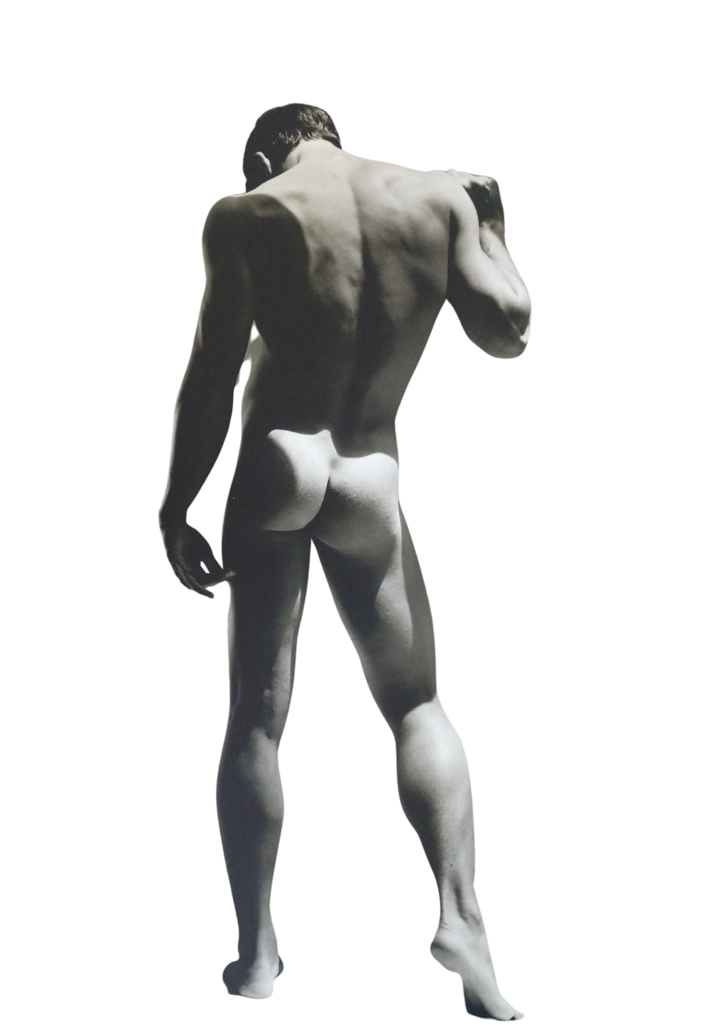 Greg Gorman Male Nude 1992 (24w x 36t)