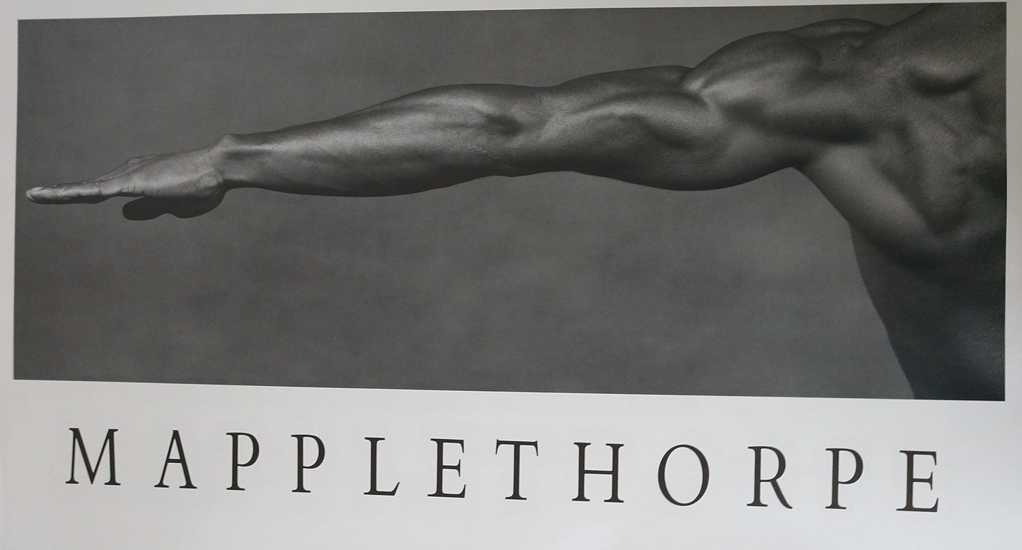 Mapplethorpe Derrick Cross 1982 (35.75w x 20.5t)