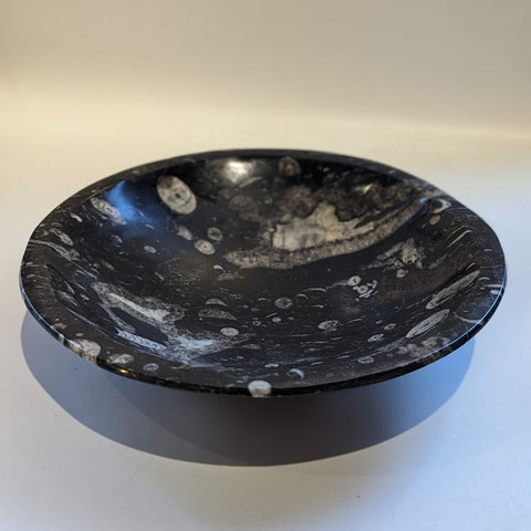 Black Rock Bowl with Incorporated Fossils 9"