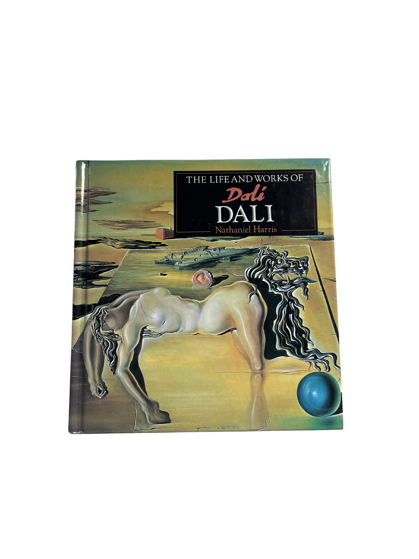 The Life and Works of Dali by Nathaniel Harris 8 1/2" x 8"