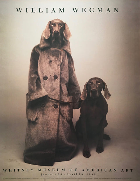 William Wegman "Dog Walker" Whitney Museum (23"W x 28 1/2T")