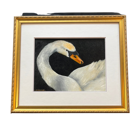 Lynda Burkhouse “Basking Swan” 17” x 20”